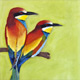 European Bee-eaters