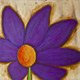 May Flowers - Violet