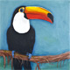 Tuki, The Toucan