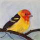 Western Tanager