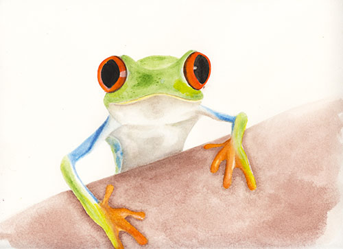 Watercolor - Frog Image of my watercolor - Frog