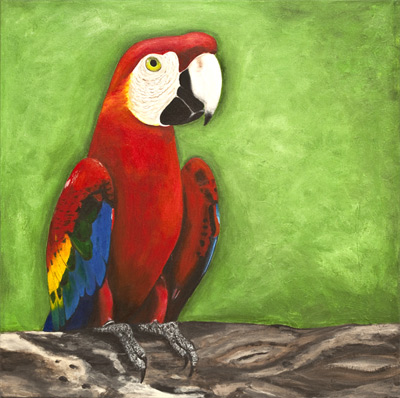 Image of Parrot